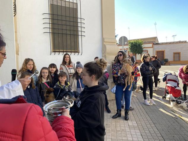 Perros, gatos, pájaros y conejos pasaron por la cola para ser bendecidos