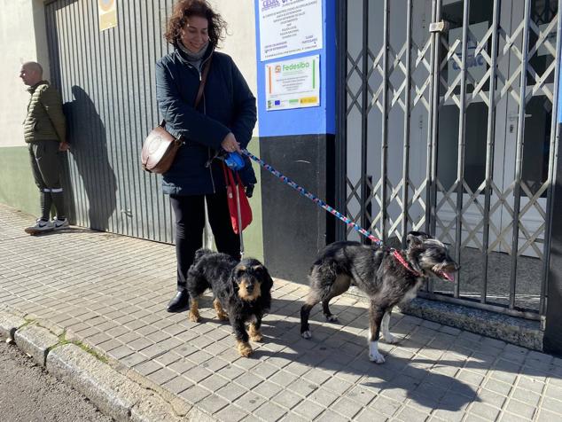 Perros, gatos, pájaros y conejos pasaron por la cola para ser bendecidos
