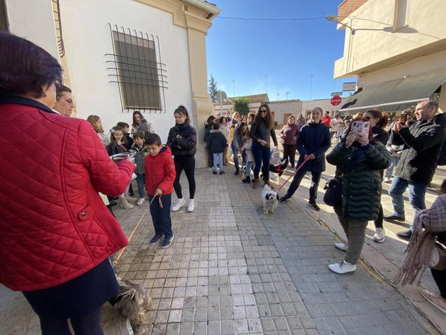 Perros, gatos, pájaros y conejos pasaron por la cola para ser bendecidos