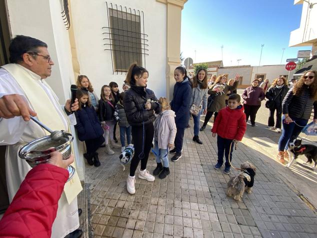 Perros, gatos, pájaros y conejos pasaron por la cola para ser bendecidos