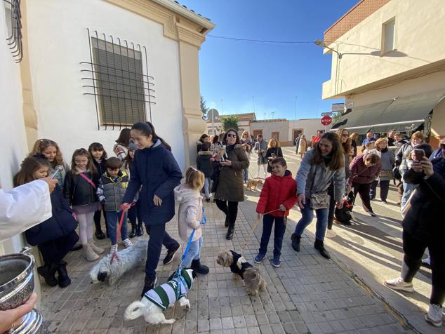 Perros, gatos, pájaros y conejos pasaron por la cola para ser bendecidos