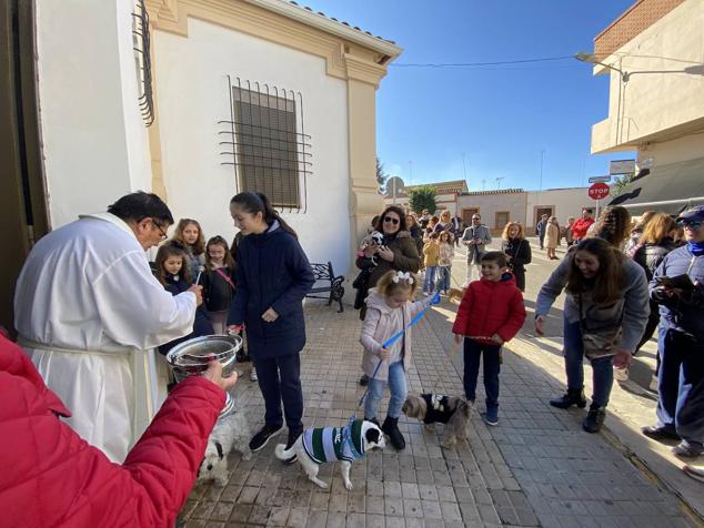 Perros, gatos, pájaros y conejos pasaron por la cola para ser bendecidos