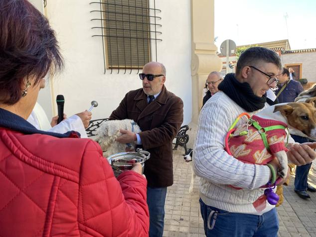Perros, gatos, pájaros y conejos pasaron por la cola para ser bendecidos