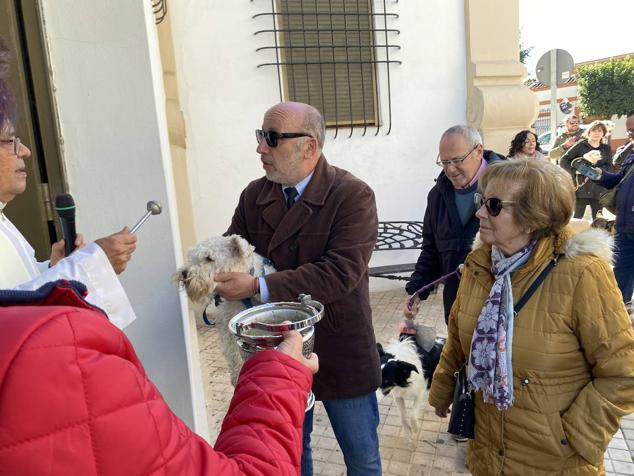 Perros, gatos, pájaros y conejos pasaron por la cola para ser bendecidos