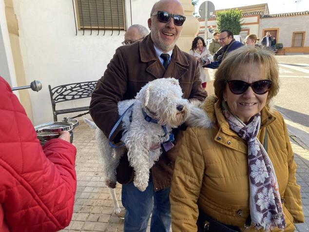 Perros, gatos, pájaros y conejos pasaron por la cola para ser bendecidos