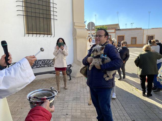 Perros, gatos, pájaros y conejos pasaron por la cola para ser bendecidos