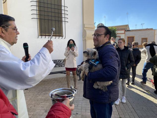 Perros, gatos, pájaros y conejos pasaron por la cola para ser bendecidos