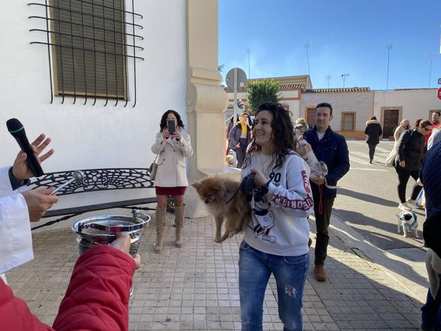 Perros, gatos, pájaros y conejos pasaron por la cola para ser bendecidos