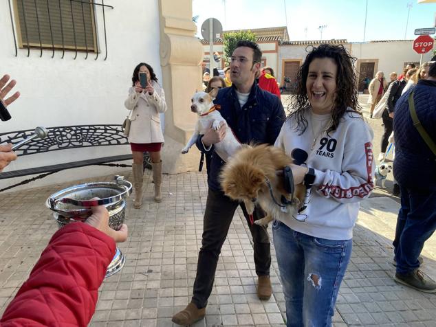 Perros, gatos, pájaros y conejos pasaron por la cola para ser bendecidos