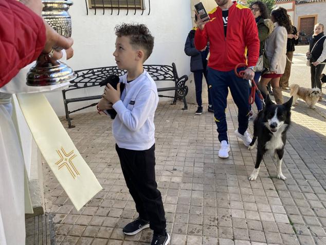 Perros, gatos, pájaros y conejos pasaron por la cola para ser bendecidos