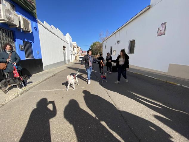 Perros, gatos, pájaros y conejos pasaron por la cola para ser bendecidos
