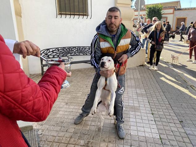Perros, gatos, pájaros y conejos pasaron por la cola para ser bendecidos