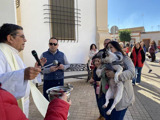 Perros, gatos, pájaros y conejos pasaron por la cola para ser bendecidos