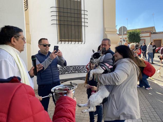 Perros, gatos, pájaros y conejos pasaron por la cola para ser bendecidos