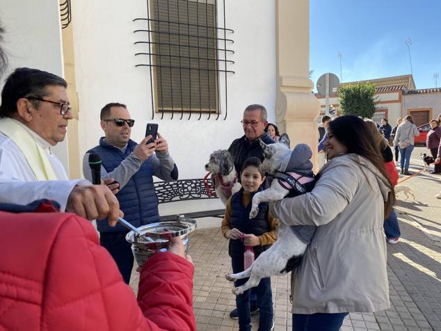 Perros, gatos, pájaros y conejos pasaron por la cola para ser bendecidos