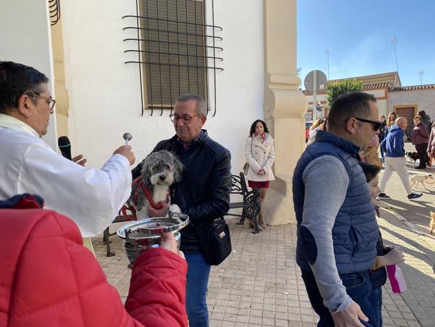 Perros, gatos, pájaros y conejos pasaron por la cola para ser bendecidos