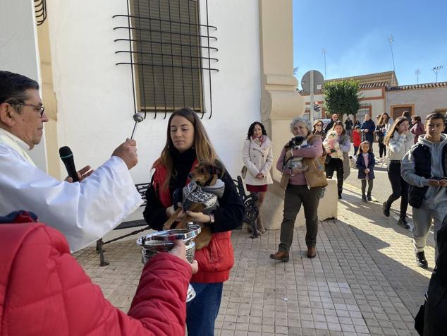 Perros, gatos, pájaros y conejos pasaron por la cola para ser bendecidos