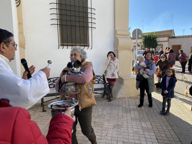 Perros, gatos, pájaros y conejos pasaron por la cola para ser bendecidos