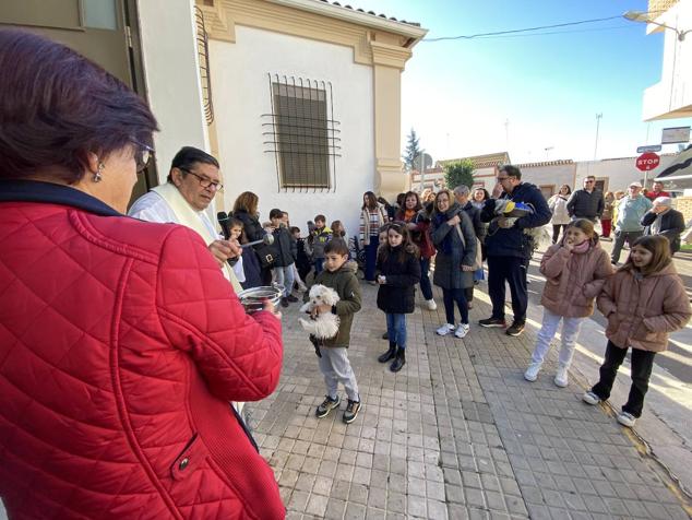 Perros, gatos, pájaros y conejos pasaron por la cola para ser bendecidos
