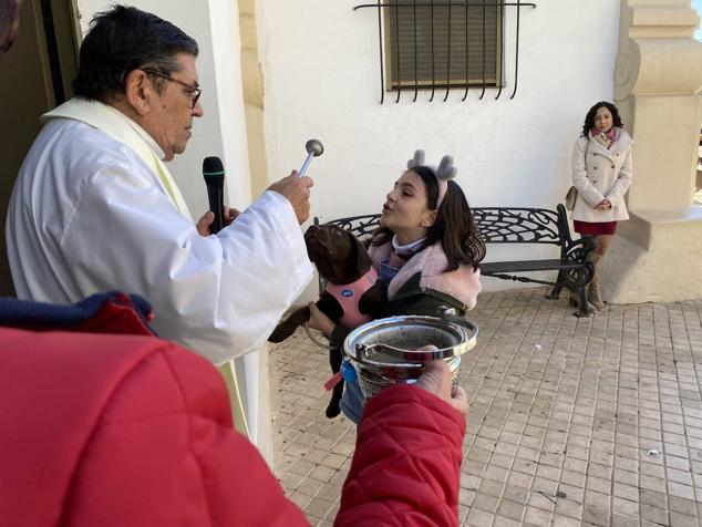 Perros, gatos, pájaros y conejos pasaron por la cola para ser bendecidos
