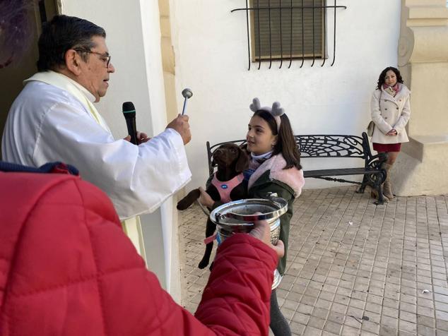 Perros, gatos, pájaros y conejos pasaron por la cola para ser bendecidos