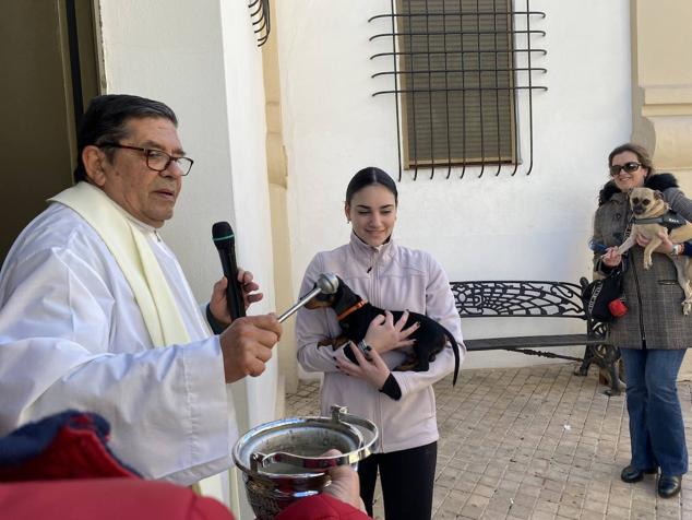 Perros, gatos, pájaros y conejos pasaron por la cola para ser bendecidos