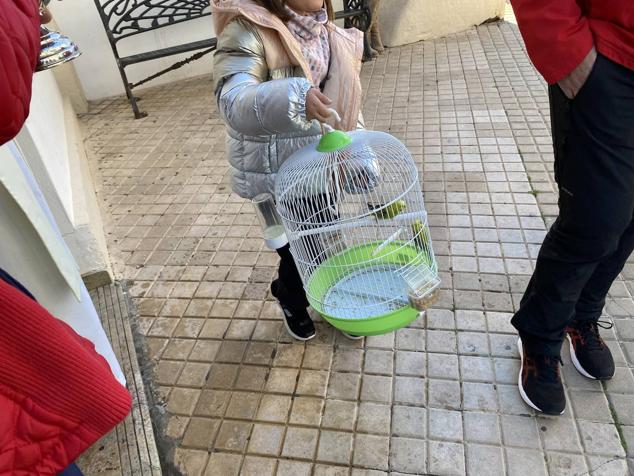 Perros, gatos, pájaros y conejos pasaron por la cola para ser bendecidos