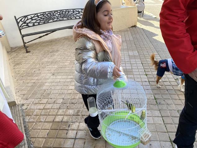 Perros, gatos, pájaros y conejos pasaron por la cola para ser bendecidos