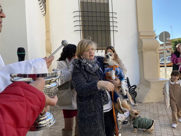 Perros, gatos, pájaros y conejos pasaron por la cola para ser bendecidos