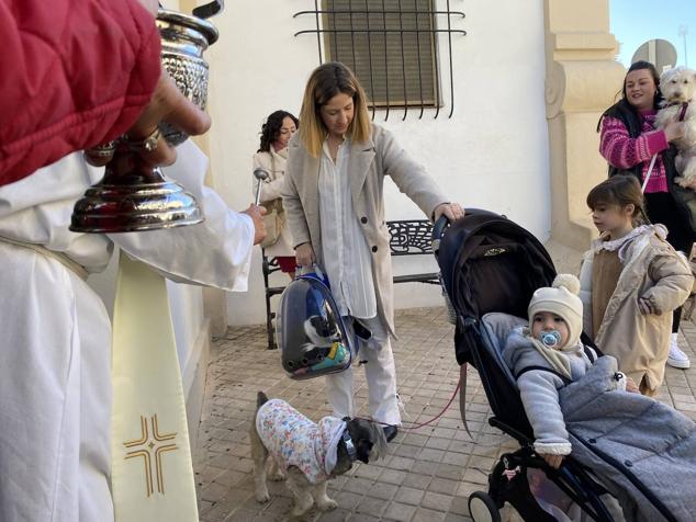 Perros, gatos, pájaros y conejos pasaron por la cola para ser bendecidos