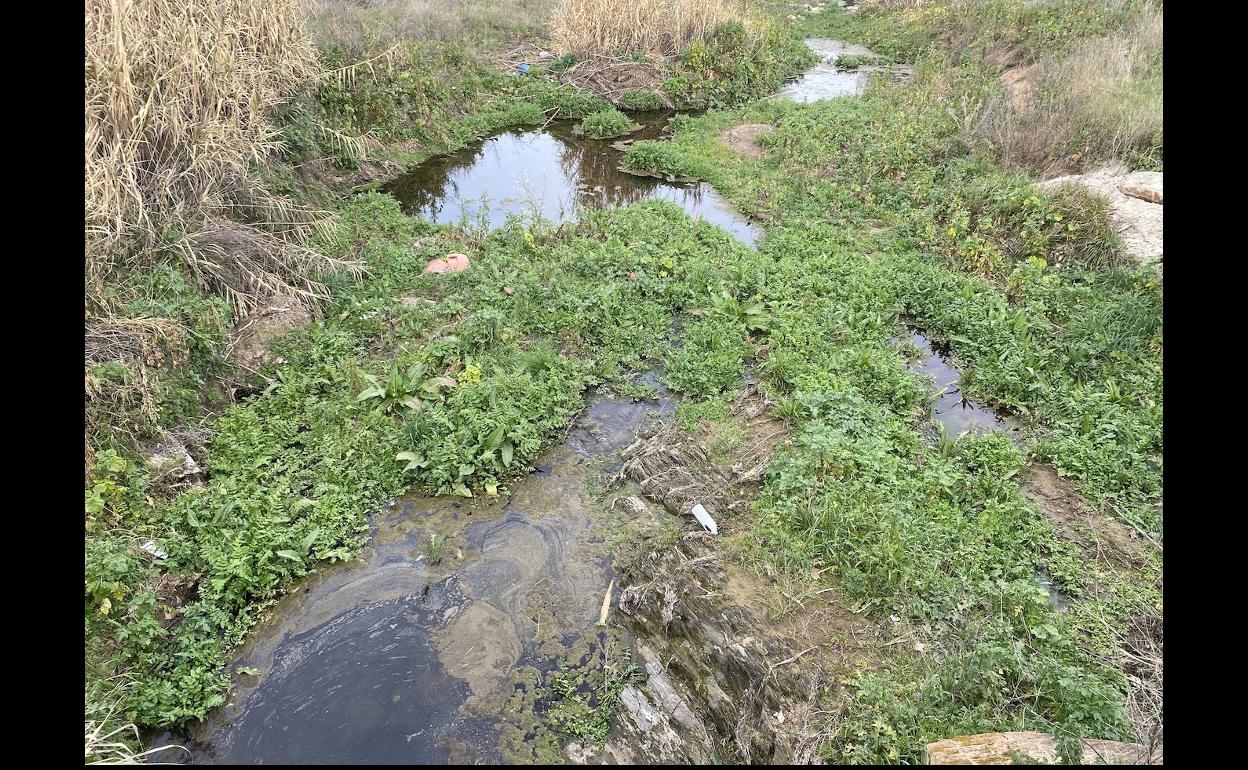 Denuncian que los vertidos residuales e industriales continúan llegando a los arroyos