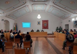 Imagen de un pleno anterior celebrado en el Ayuntamiento