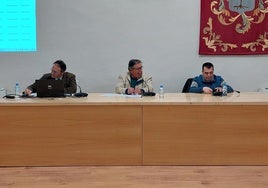 Un momento del pleno del mes de abril