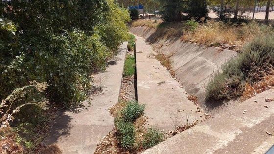 El Ayuntamiento actuará sobre el cauce del arroyo Las Picadas en las próximas semanas