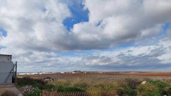 Adenex traslada al Ayuntamiento la necesidad de plantar más árboles