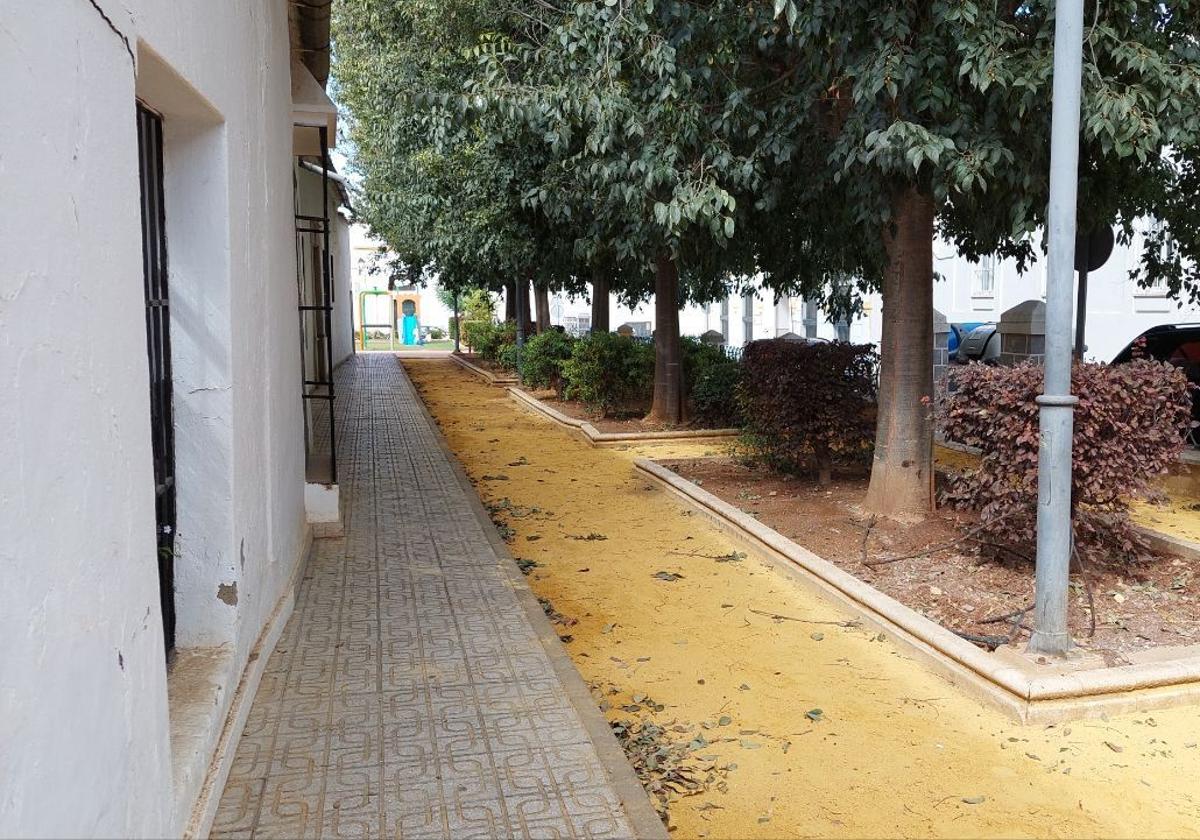 Promueven un espacio para recordar a los bebés perdidos durante la gestación
