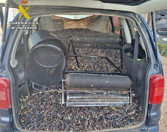 Sorprenden a 12 vecinos de Almendralejo cuando sustraían 4.000 kilos de aceitunas en Usagre