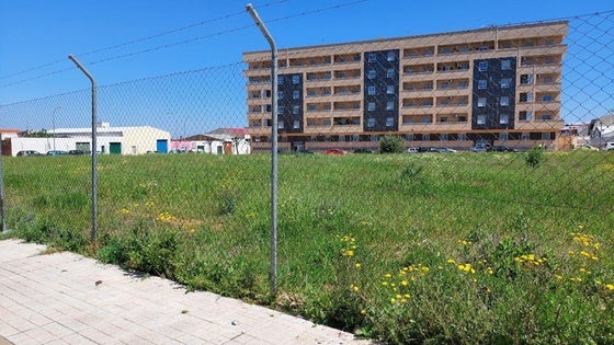 Un bando advierte de la obligación de mantener limpios parcelas y solares sin urbanizar