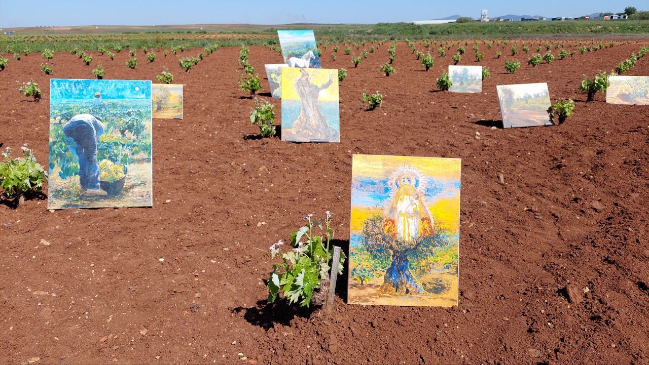 Detalle de la muestra que pudo verse en el campo