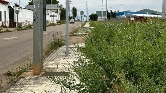 Vox pide el adecentamiento de una de las entradas a la ciudad