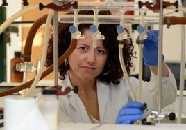 La cientifica María Victoria Gil Álvarez en el laboratorio de la universidad