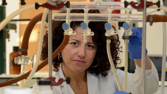 El CPR convoca la quinta edición del Concurso Mujer y Ciencia