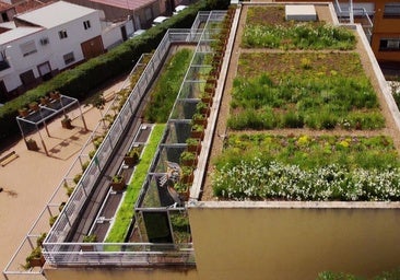 Cubierta del colegio con la vegetación que lo protege de las altas temperaturas