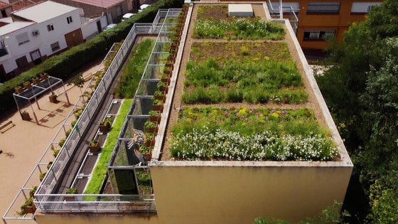 Aseguran la continuidad del proyecto LIFE en Solana de los Barros