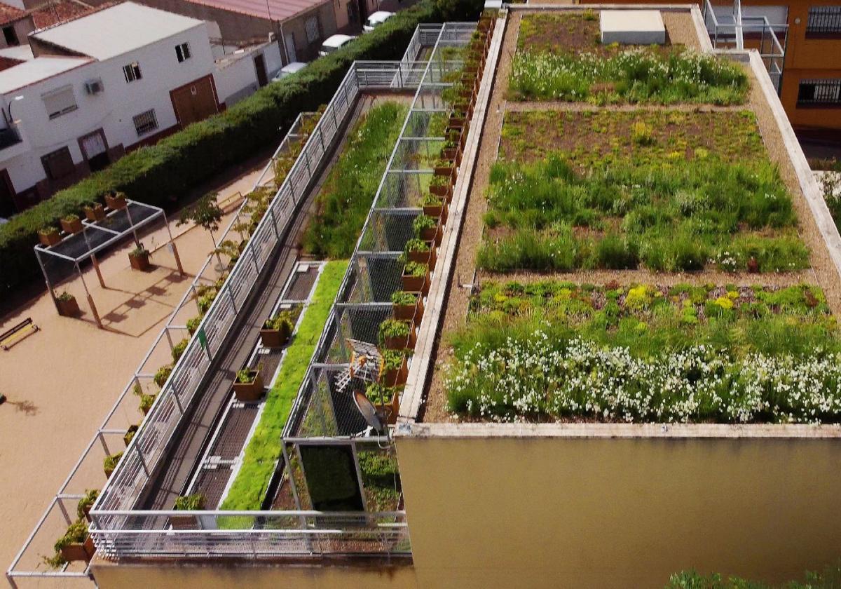 Aseguran la continuidad del proyecto LIFE en Solana de los Barros