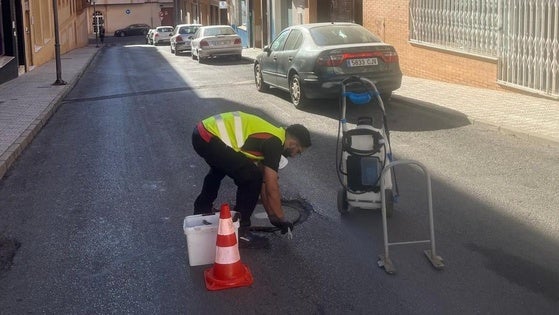 Activan un plan intensivo de fumigación ante el aumento de cucarachas
