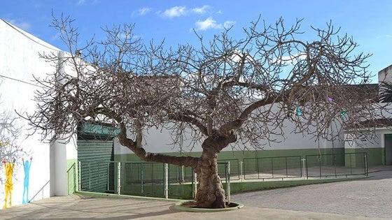 Educación, arte y tradición en la conmemoración local del día de la región