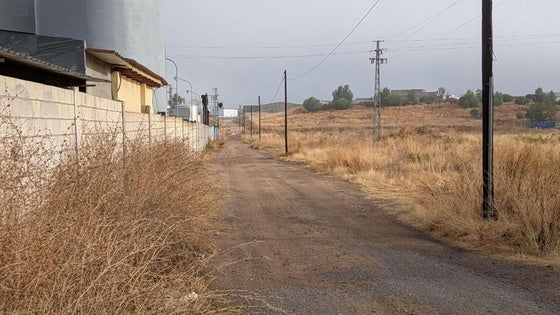 La conexión del polígono con la EX 300 necesitará un nuevo proyecto