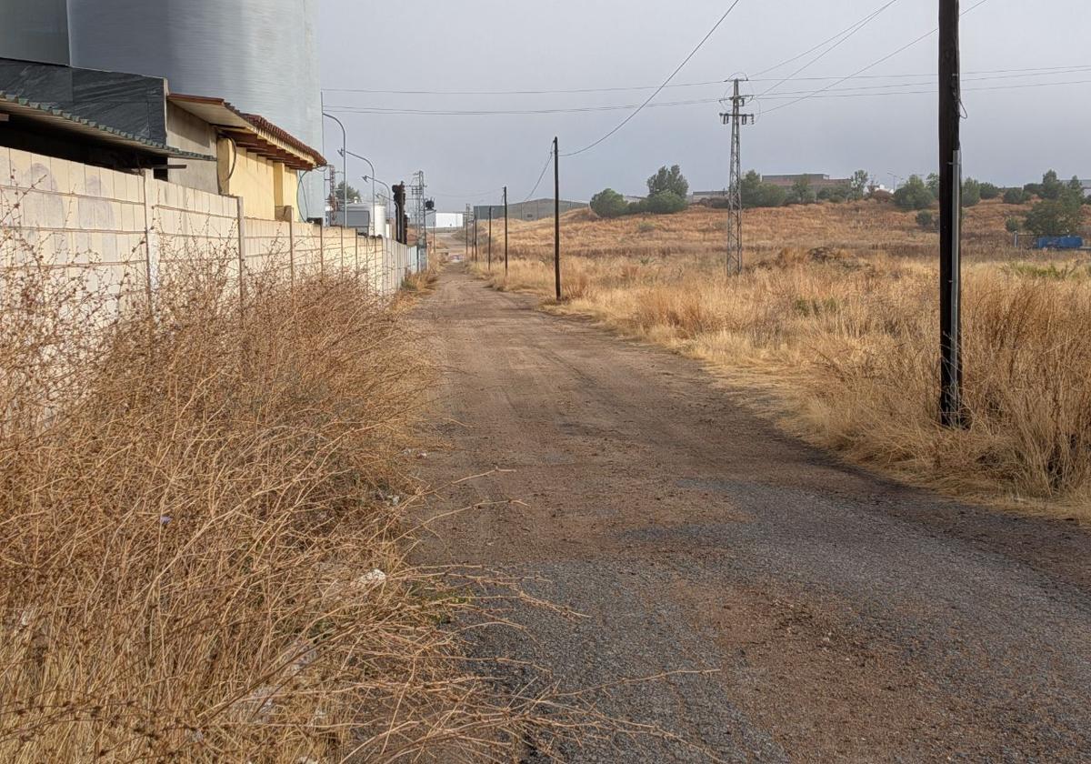 Estado actual del camino que acogería el nuevo vial