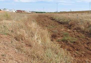 Adenex pide una actuación urgente sobre el cauce del arroyo Charnecal